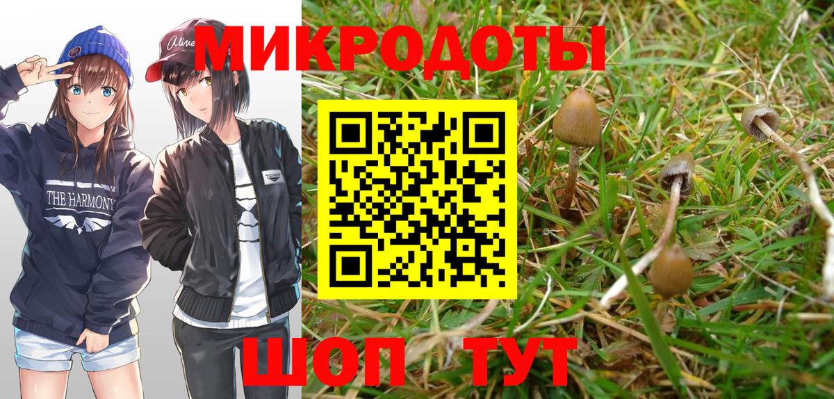 Галлюциногенные грибы MAGIC MUSHROOMS Буйнакск